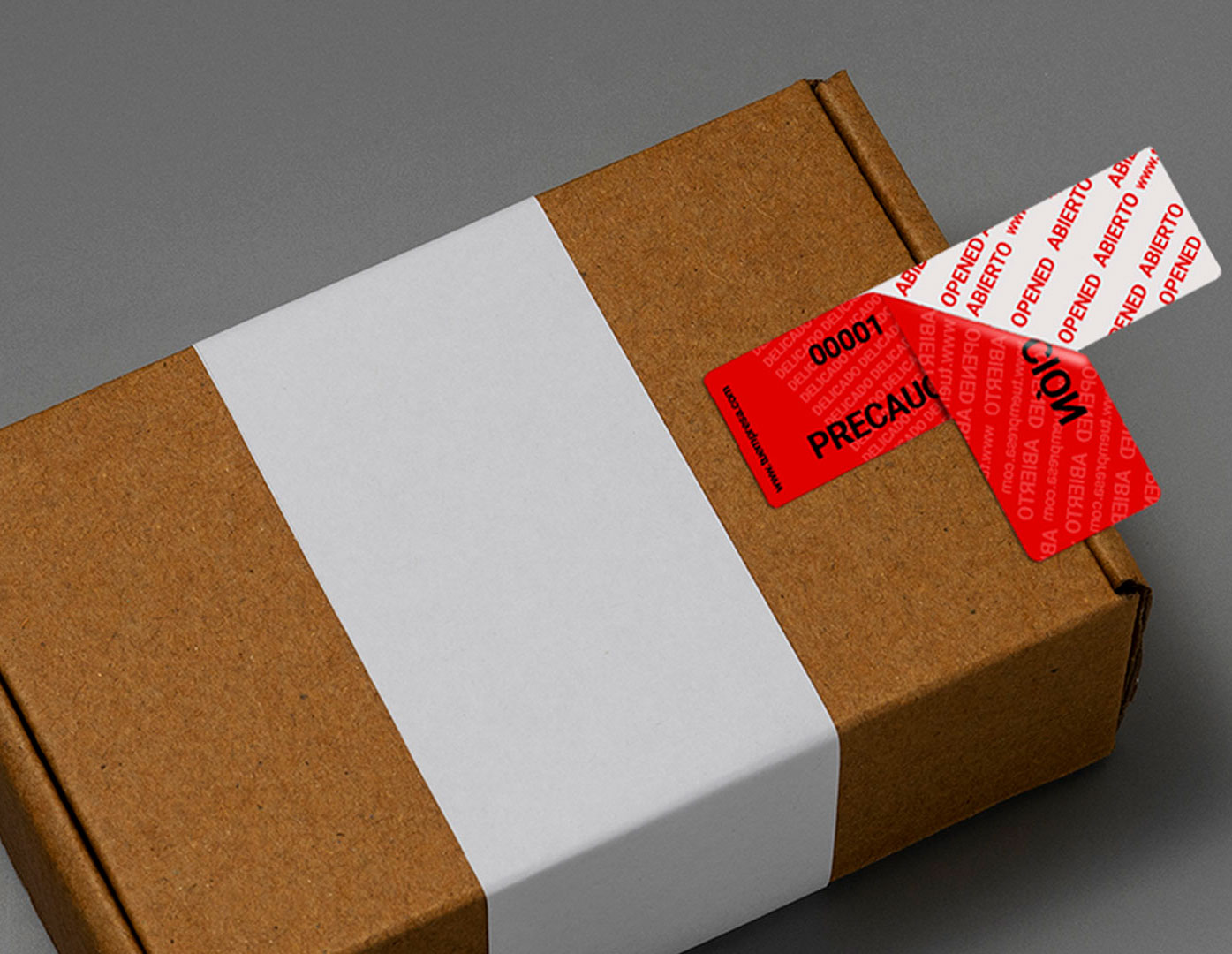 cabezal-seccion-ilustracion-home