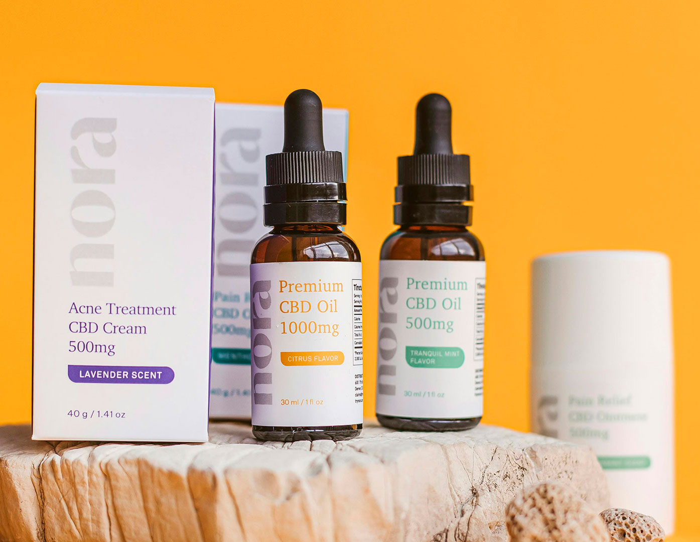 cabezal-seccion-ilustracion-home